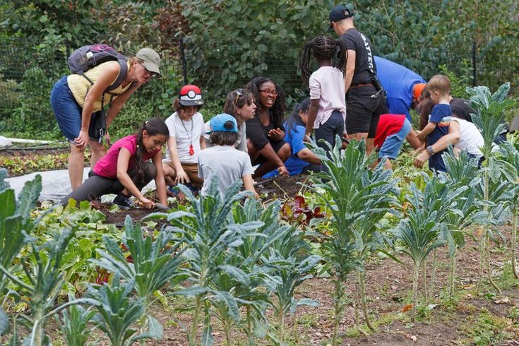 Urban Farming di perkotaan