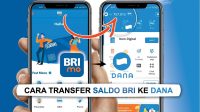 Kirim Uang dari BRI ke DANA