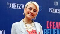 Ketua Komisi III DPR Habiburokhman soroti kejanggalan putusan hak cipta Agnez Mo di PN Jakpus.