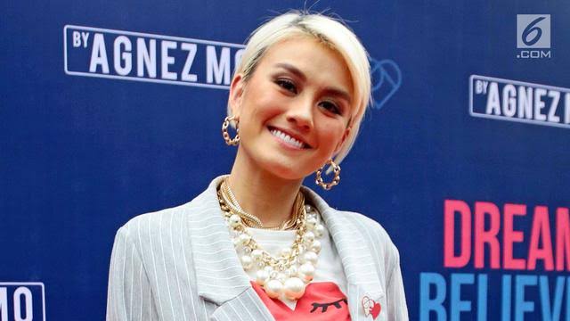 Ketua Komisi III DPR Habiburokhman soroti kejanggalan putusan hak cipta Agnez Mo di PN Jakpus.