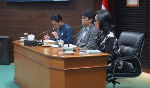 BKN Percepat Reformasi Birokrasi Lewat Manajemen Talenta ASN di Daerah