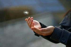 Doa Allahumma Innaka Afuwwun Tuhibbul Afwa Fa Fu Anni dan Maknanya