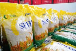 Kemasan Seragam Beras SPHP 5 Kg, Strategi Bulog Permudah Distribusi dan Jaga Kualitas