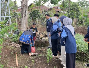 Mahasiswa KKN Bersama KWT Kedungsari Kembangkan Demplot Pertanian Inovatif