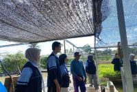 Kunjungan Mahasiswa KKN Reguler ke-85 Posko 32 UIN Walisongo Semarang ke tambak lele Dusun Jetis, Desa Margosari, Limbangan, Kabupaten Kendal