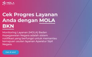 Cara Cek Status Penetapan NIP PPPK Paruh Waktu 2025 Lewat Mola BKN