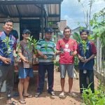 KKN UPGRIS Hijaukan Ngempon Lewat Penanaman Pohon Bersama Warga