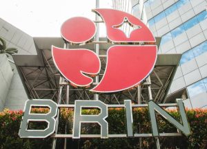 BRIN Buka Lowongan Magang Nasional 2025, Sediakan 250 Formasi untuk Lulusan Baru
