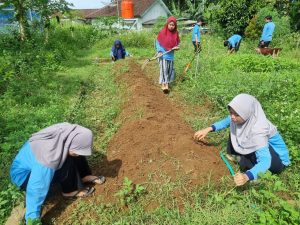 Mahasiswa KKN UIN Walisongo Posko 30 Sukses Laksanakan Penanaman Hidroponik dan Sayuran di Desa Tamanrejo