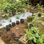 Mahasiswa KKN UIN Walisongo Posko 32 Lakukan Penataan Taman hingga Pembuatan Biopori di Taman Balai Desa Margosari