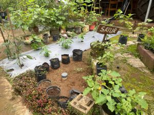Mahasiswa KKN UIN Walisongo Posko 32 Lakukan Penataan Taman hingga Pembuatan Biopori di Taman Balai Desa Margosari