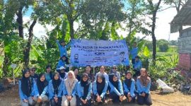 Mahasiswa KKN UIN Walisongo bersama ibu-ibu PKK Dusun Krajan, Desa Kedungsari gelar penanaman tanaman obat keluarga pada Minggu, 2 November 2025.