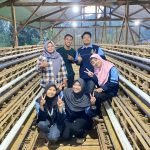 BUMDes