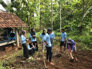 Mahasiswa KKN UIN Walisongo Lakukan Penanaman Jahe Merah dan Kencur di Dusun Cening Lor