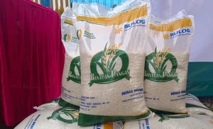 Stok Beras Nasional Aman Jelang Imlek hingga Lebaran 2026, Bulog Siapkan Cadangan Hampir 7 Juta Ton
