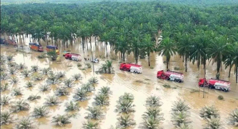 foto slider headline