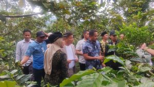 Pemkot Sue Machi Jepang Jajaki Bisnis Kopi di Kendal, Tertarik Arabika dan Robusta Lokal