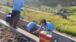 Mahasiswa KKN UIN Walisongo Turut Sukseskan Kegiatan Tahunan Pembersihan Irigasi di Sekuti