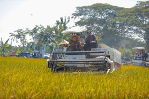 Produktivitas Pangan Jateng Lampaui Target 2025, Siap Jadi Penopang Swasembada Nasional