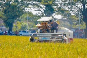 Alih Fungsi Sawah Diperketat, Jawa Tengah Pasang Target Besar Pangan 2026