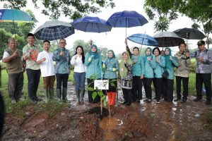 Hadapi Musim Hujan, PKK Jawa Tengah Galakkan Penanaman Pohon di Pekarangan