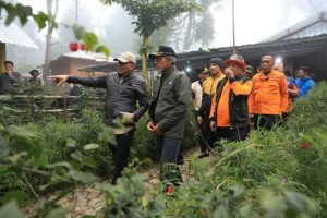 Hari ke-10 Pencarian Pendaki Hilang di Bukit Mongkrang, Tim Gabungan Masih Sisir Lereng Lawu