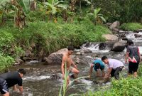 Mahasiswa KKN UPGRIS kelompok 23 bersama KKN UNNES berkolaborasi dengan Karang Taruna Desa Lerep dalam kegiatan pengelolaan Sungai Pangus