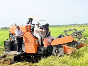 Cuaca Bersahabat Jadi Kunci Swasembada Beras 2025, Pakar Ingatkan Pentingnya Inovasi Teknologi