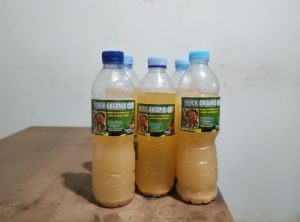 Mahasiswa KKN UPGRIS Kelompok 27 Sulap Sampah Rumah Tangga Jadi Pupuk Organik Cair di Rw 08 Kelurahan Gemah