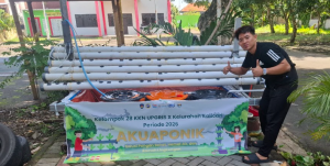 Mahasiswa KKN UPGRIS Kelompok 28 Kalicari Kembangkan Proker Aquaponik Ramah Lingkungan