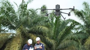 Manajemen Vegetasi dan Analisis Koridor Transmisi dengan Software LiDAR Terrasolid