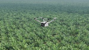 Pemantauan Keamanan Hutan dan Deteksi Kebakaran Lahan dengan DJI Dock 3