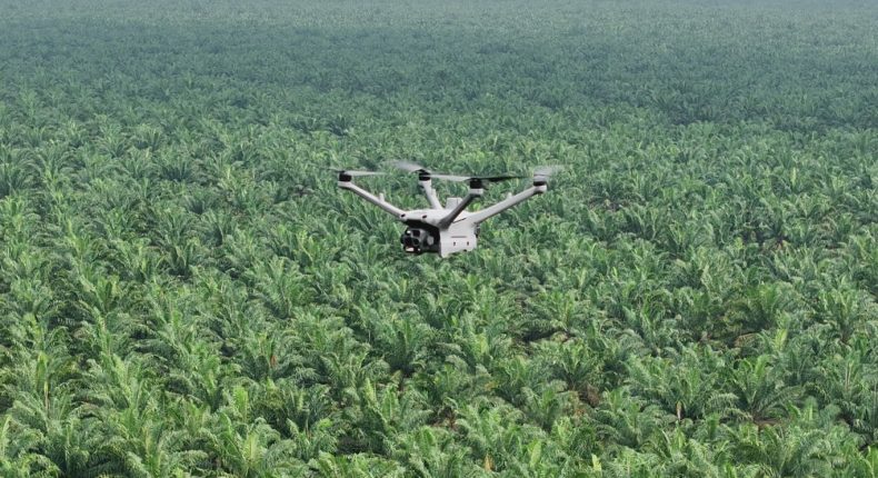 foto slider headline