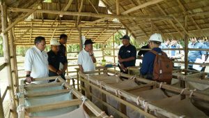 Perkuat Strategi Peningkatan Produksi dan Pengamanan Aset, Operational Strategic Advisory PTPN III (Persero) Kunjungi PTPN IV Regional VII