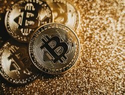 Prediksi Harga Bitcoin 2025: Naik 300% dalam 6 Bulan? Simak Analisis Eksklusif!