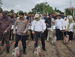 Dukung Ketahanan Pangan, Holding Perkebunan Nusantara Lewat PalmCo Perkuat Kemitraan Petani di Jambi