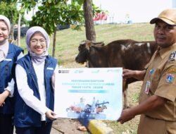 PT Pelindo Sinergi Lokaseva Berbagi Hewan Kurban, Perkuat Kepedulian Sosial dan Dukung Peternak Lokal
