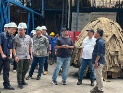 Holding Perkebunan Nusantara Perkuat Produktivitas Karet, PTPN I Fokus Benahi Kebun Padang Pelawi