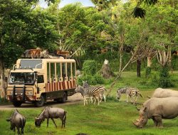Taman Safari Indonesia Siap Dukung Transformasi Kebun Binatang Bandung sebagai Lembaga Konservasi Modern