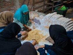 Belajar dari Pelaku Usaha Lokal, Mahasiswa KKN Kunjungi UMKM Tempe di Desa Bakung