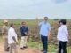 Dukung Program Mandiri Energi Nasional, Holding Perkebunan Nusantara Siapkan 10 Ribu Hektare Lahan Singkong di Lampung