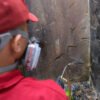 Udara Sejuk dan Lembap Bandung: Kondisi Ideal yang Disukai Rayap