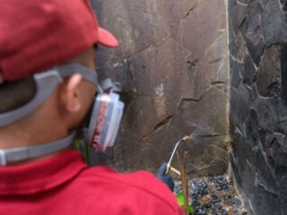 Udara Sejuk dan Lembap Bandung: Kondisi Ideal yang Disukai Rayap