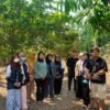 Resapan Biopori