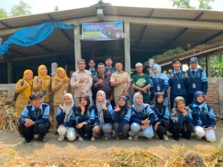 Berdayakan Masyarakat, KKN UIN Walisongo & Pemkab Demak Sukses Kembangkan 30 Ekor Sapi di Bumiharjo