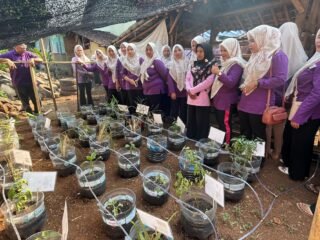 KKN Undip Hadirkan Taman Toga dengan Sistem Penyiraman Otomatis Guna Mendukung Kemandirian Kesehatan Warga Wonokerso