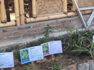 Edukasi Senyawa Herbal, Mahasiswa Kimia KKN Undip Hadirkan Poster Informatif Tanaman TOGA di Taman Tumenggung
